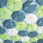 雨伞