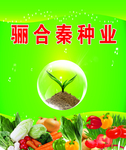 水果蔬菜