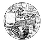 花纹