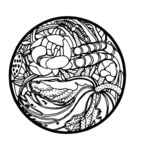 花纹
