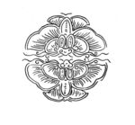 花纹