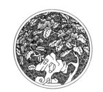 花纹