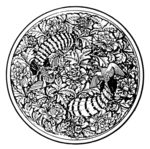花纹