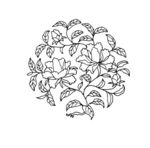 花纹