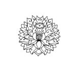 花纹