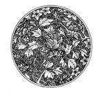 花纹