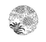 花纹