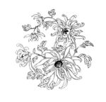 花纹