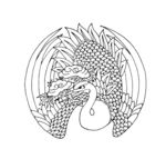 花纹