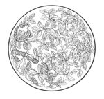 花纹