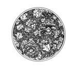 花纹