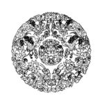 花纹