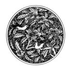花纹