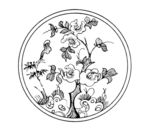 花纹
