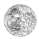 花纹