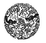 花纹
