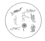 花纹