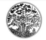 花纹