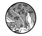 花纹