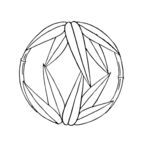 花纹