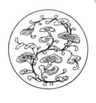 花纹