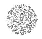 花纹