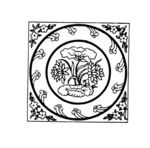 花纹