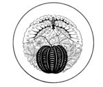 花纹