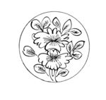 花纹