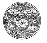 花纹
