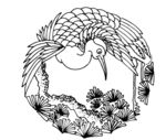 花纹