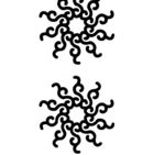 花纹