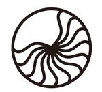 花纹