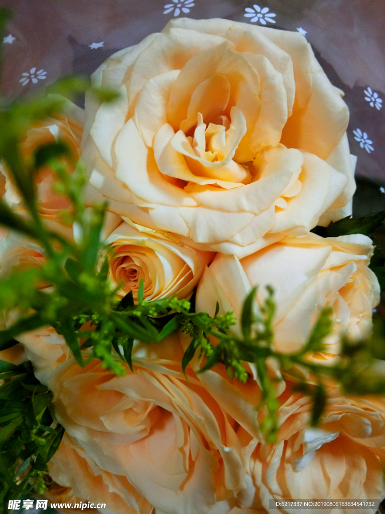橘黄玫瑰黄玫瑰美丽漂亮