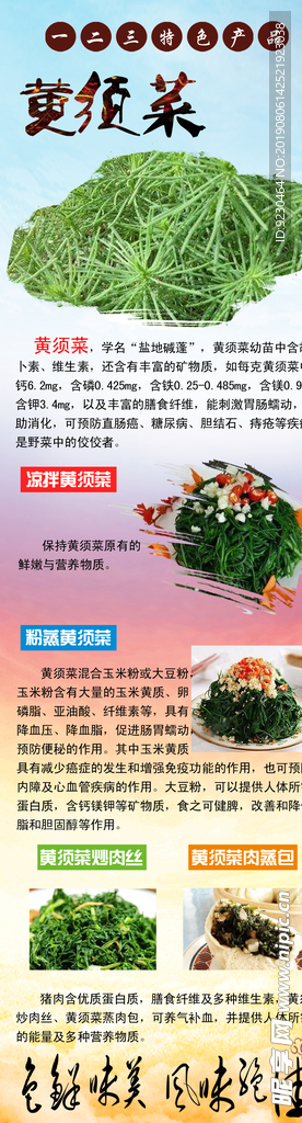 黄须菜简介