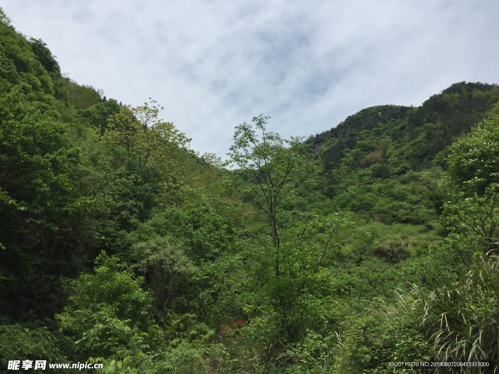 大山