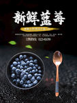 蓝莓采摘海报