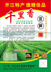 特产宣传单