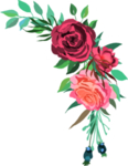花朵花卉