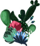 花朵花卉