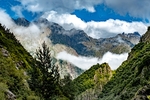 山
