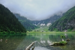 风景