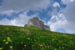 风景