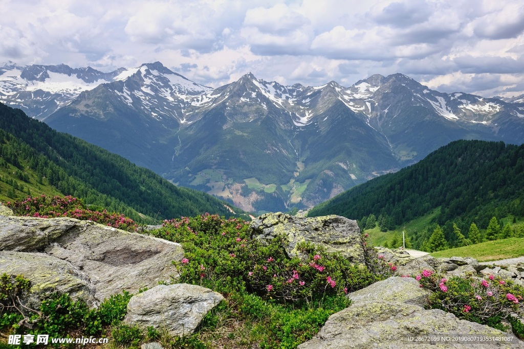 风景