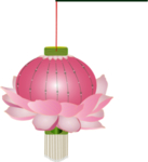 荷花灯