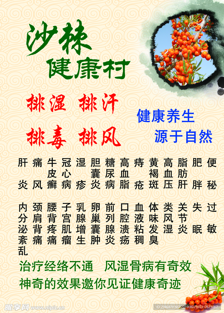 沙棘