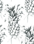 黑灰菠萝 水果