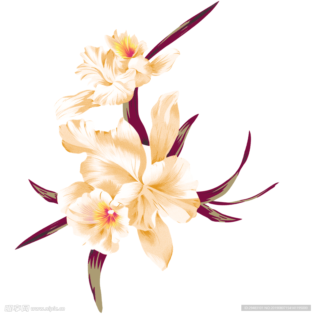 单个鲜花 黄色