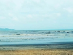 海边