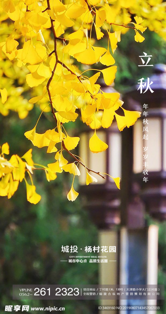 立秋